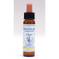 Horndeam 10ml Horndeam 10ml