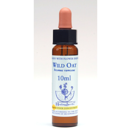 Wild Oat 10ml
