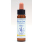 Wild Oat 10ml