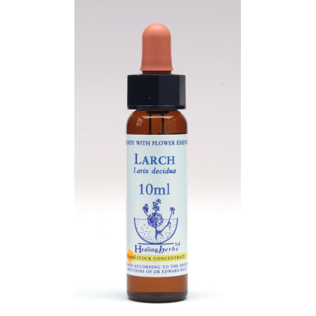 Larch 10ml