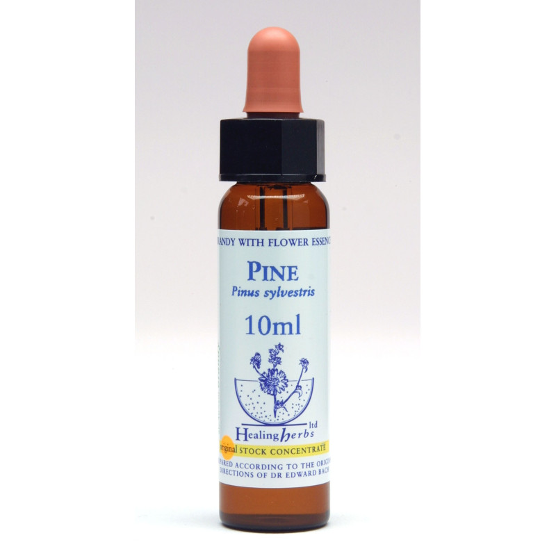 Pine 10ml Pine 10ml