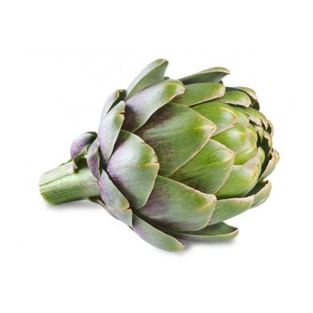 Μαλακτικό με Κινόα & Αγκινάρα | Quinoa & Artichoke Conditioner | 200ml