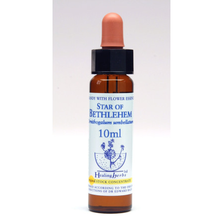 Star of Bethlehem 10ml