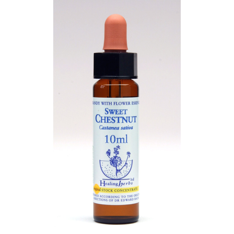 Sweet Chestnut 10ml