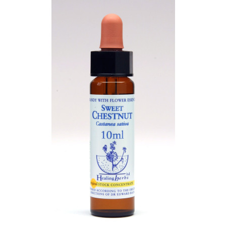 Sweet Chestnut 10ml
