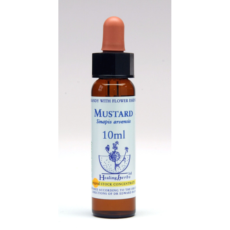Mustard 10ml