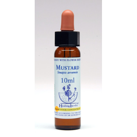 Mustard 10ml