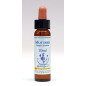 Mustard 10ml