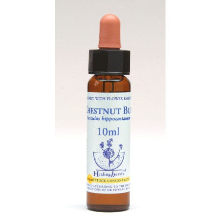 Chestnut Bud 10ml