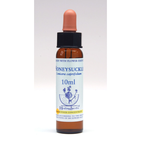 Honeysuckle