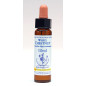 White Chestnut 10ml