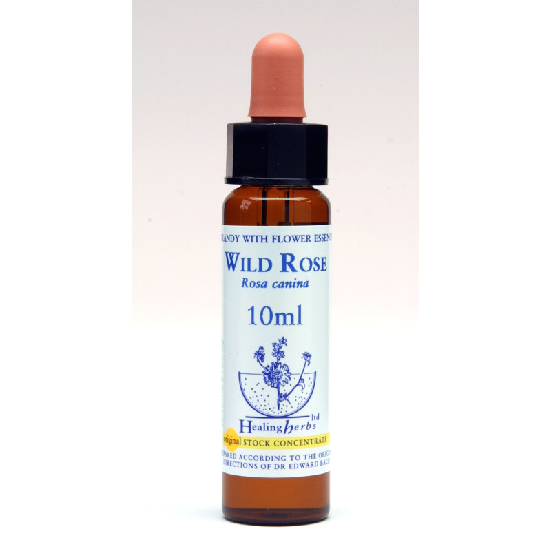 Ανθοΐαμα Wild Rose 10ml