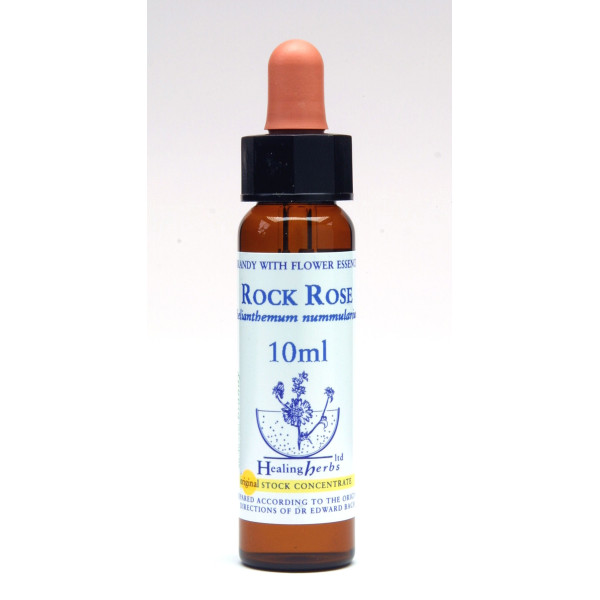 Rock Rose