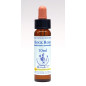 Ανθοΐαμα Rock Rose 10ml