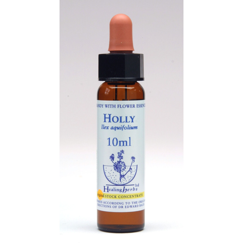 Ανθοΐαμα Holly 10ml