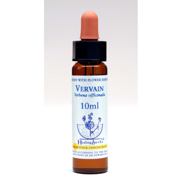 Vervain