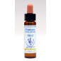 Vervain 10ml