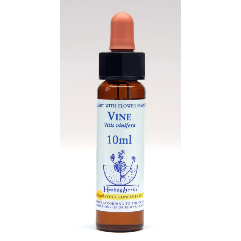 Vine 10ml
