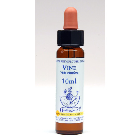 Vine 10ml