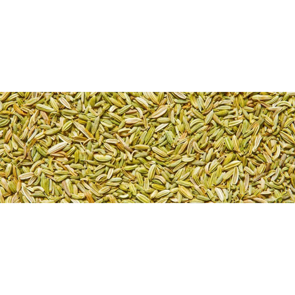 Βιολογικό Αιθέριο Έλαιο Μάραθος | Fennel Essential Oil Org. | 10ml