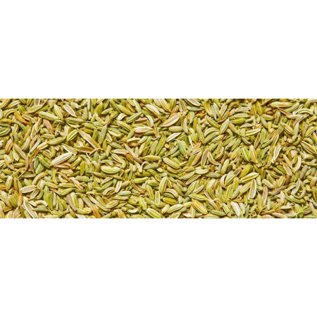 Βιολογικό Αιθέριο Έλαιο Μάραθος | Fennel Essential Oil Org. | 10ml