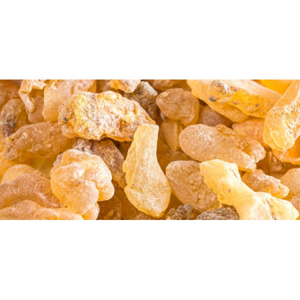 Βιολογικό Αιθέριο Έλαιο Λιβάνι | Olibanum/Frankincense Essential Oil Org. | 5ml