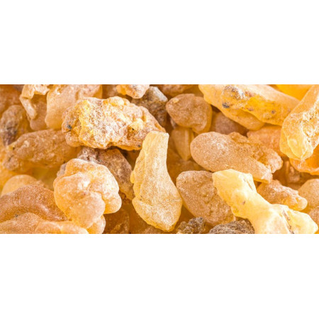 Βιολογικό Αιθέριο Έλαιο Λιβάνι | Olibanum/Frankincense Essential Oil Org. | 5ml