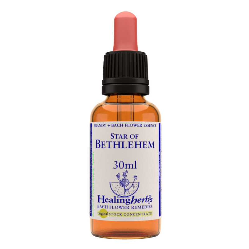 Star of Bethlehem 30ml