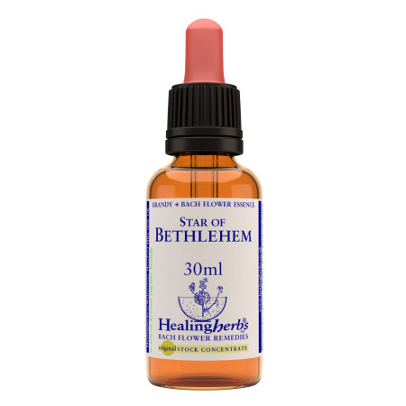 Star of Bethlehem 30ml