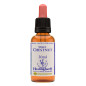 Sweet Chestnut 30ml