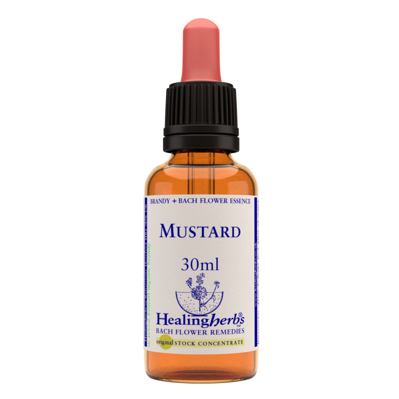 Ανθοΐαμα Mustard 30ml Ανθοΐαμα Mustard 30ml
