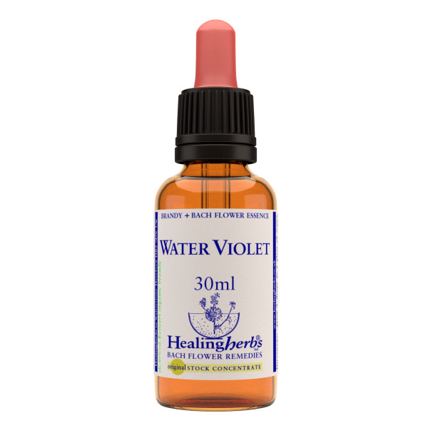 Water Violet 30ml