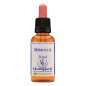 Ανθοΐαμα Mimulus 30ml