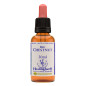 Red Chestnut 30ml