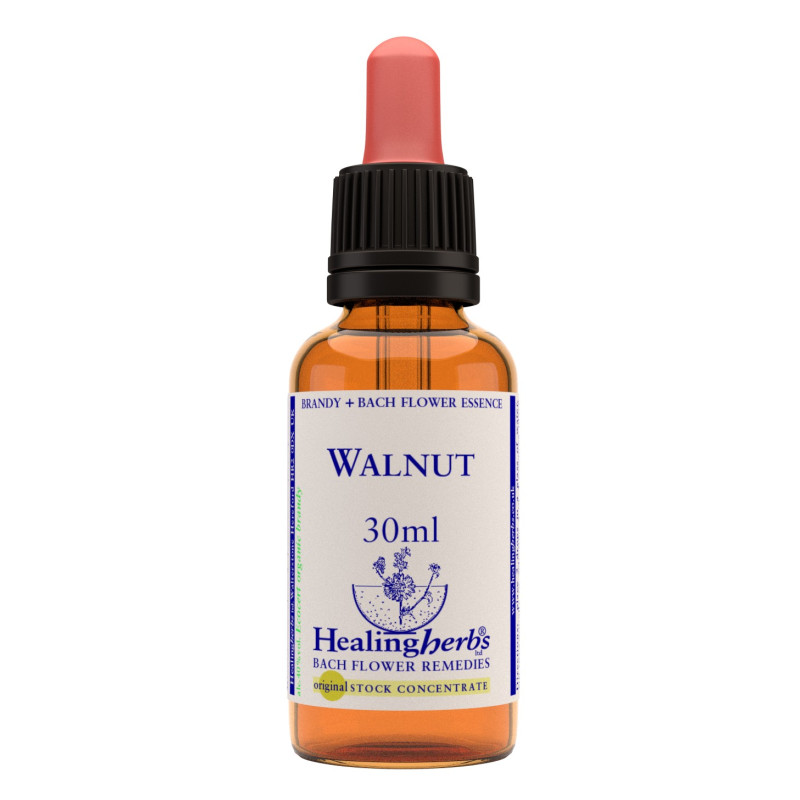 Ανθοΐαμα Walnut 30ml Ανθοΐαμα Walnut 30ml