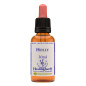 Ανθοΐαμα Holly 30ml Ανθοΐαμα Holly 30ml