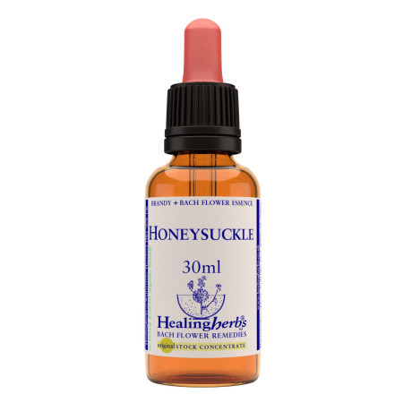 Honeysuckle 30ml