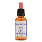 Honeysuckle 30ml