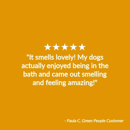 Ήπιο Σαμπουάν για Σκύλους  -  Χωρίς άρωμα | Allpaws Sensitive Dog Shampoo – Scent Free | 200ml