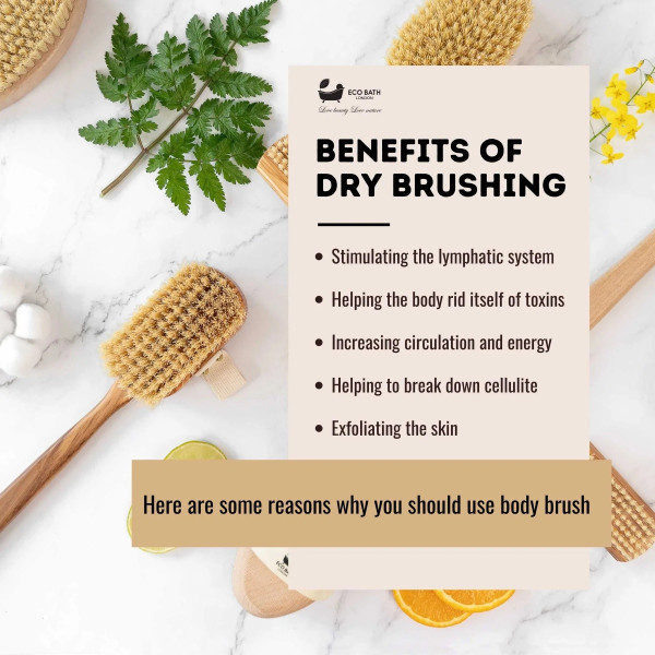 Πολυτελής Βούρτσα Πλάτης από Ξύλο Ελιάς