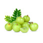 Botanica | Βιολογικό Amla σε Σκόνη | 110gr Botanica | Βιολογικό Amla σε Σκόνη | 110gr