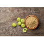 Botanica | Βιολογικό Amla σε Σκόνη | 110gr Botanica | Βιολογικό Amla σε Σκόνη | 110gr