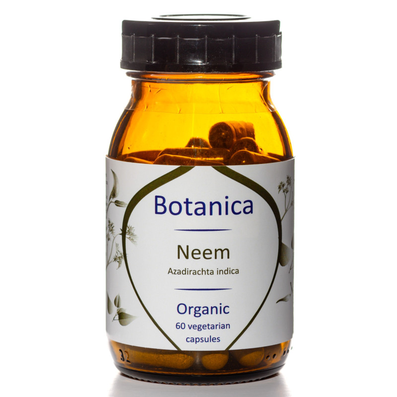 Βιολογικό Νημ/Azadirachta indica | Organic Neem | 500mg | 60caps
