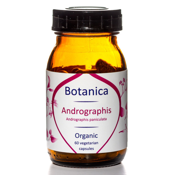 Βιολογική Ανδρογραφίδα | Organic Andrographis | 500mg | 60caps