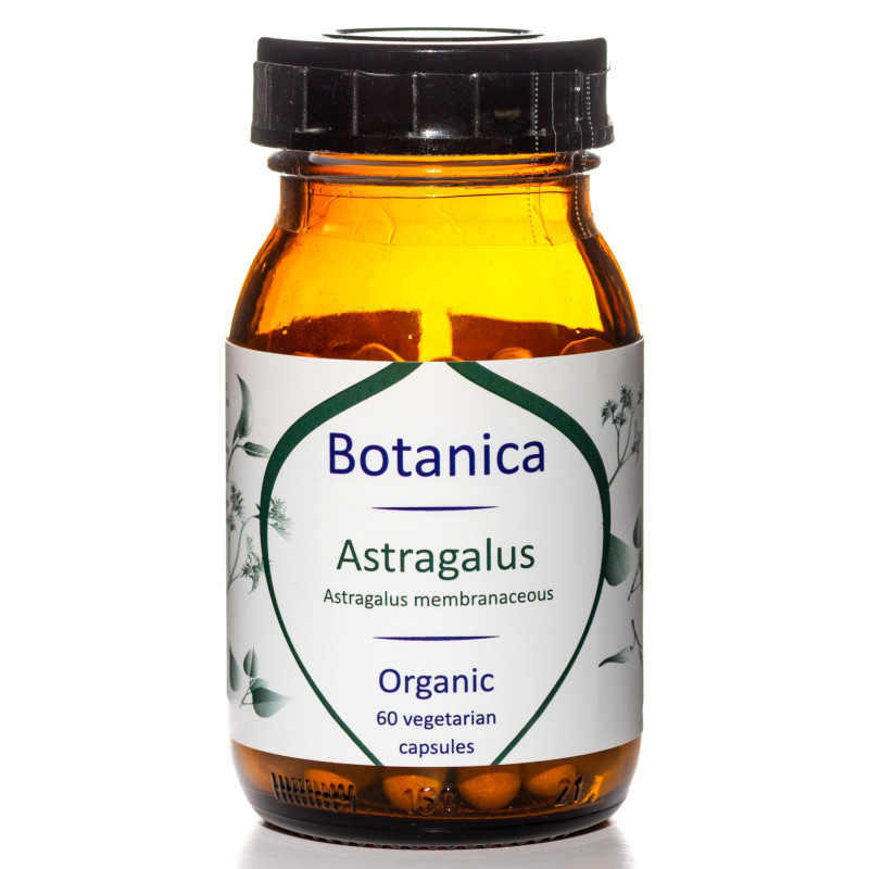 Βιολογικός Αστράγαλος | Organic Astragalus | 500mg | 60caps