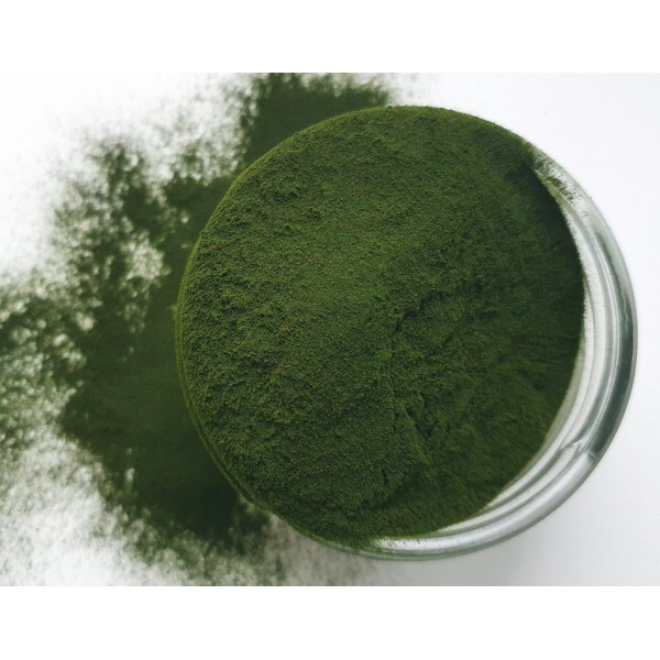 Botanica | Βιολογικός Χύμος Σιταρόχορτου Σκόνη 30:1 |110gr