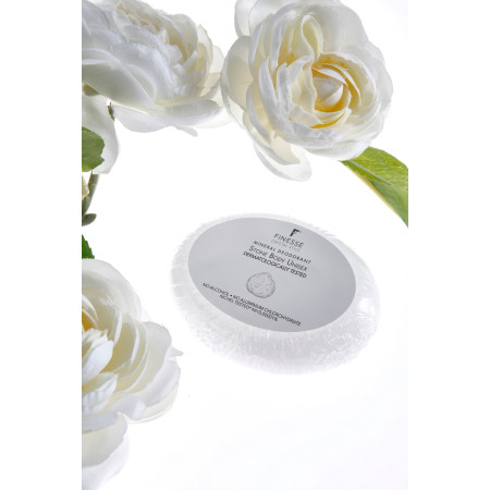 Φυσικός Αποσμητικός Κρύσταλλος 155γρ