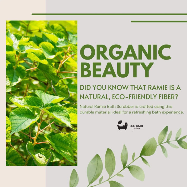 Eco Bath London | Σφουγράρι Σώματος από Φυσικό Ράμι
